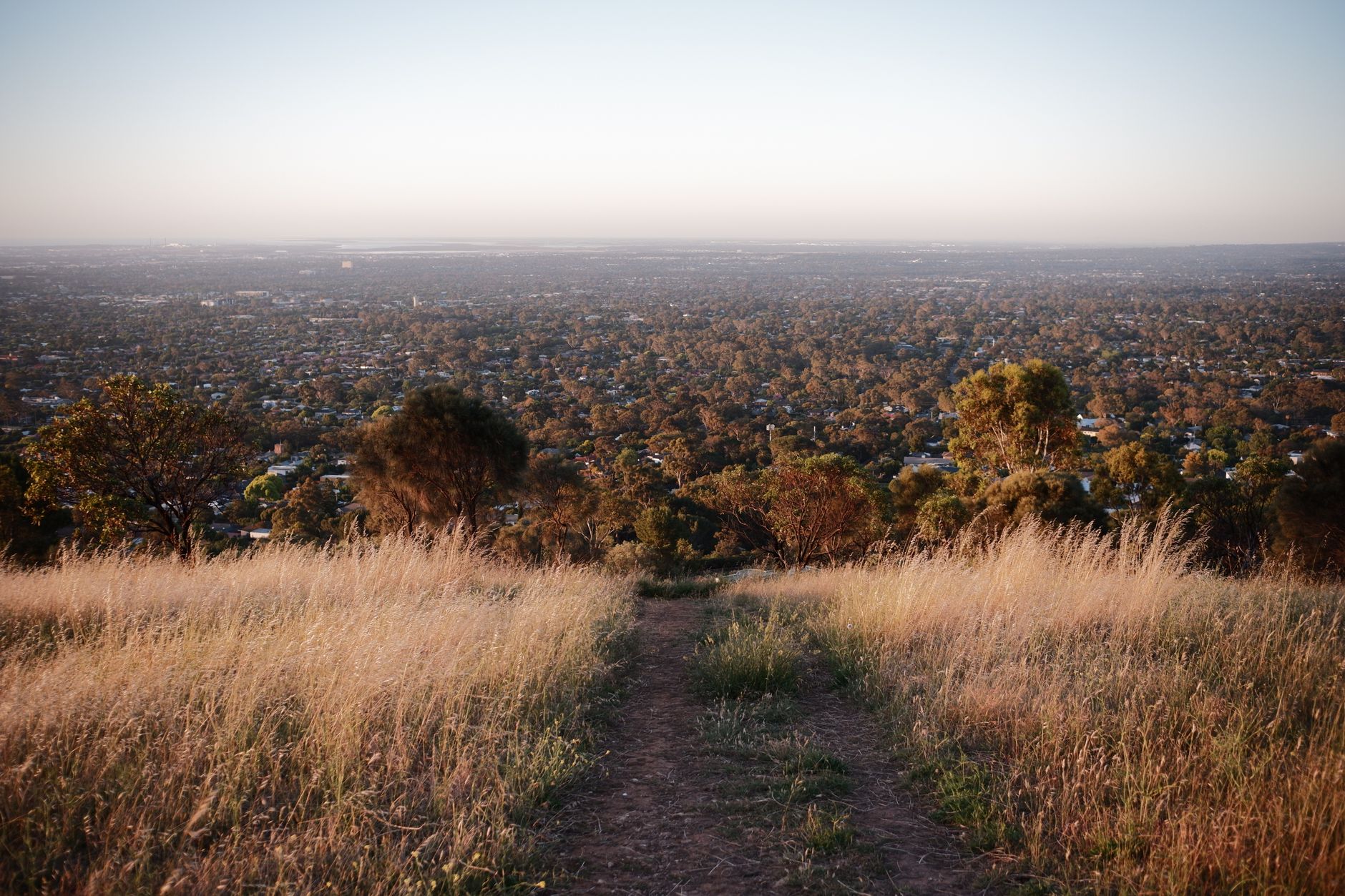 Vista de Adelaide a partir das colinas, com a cidade se estendendo até o horizonte