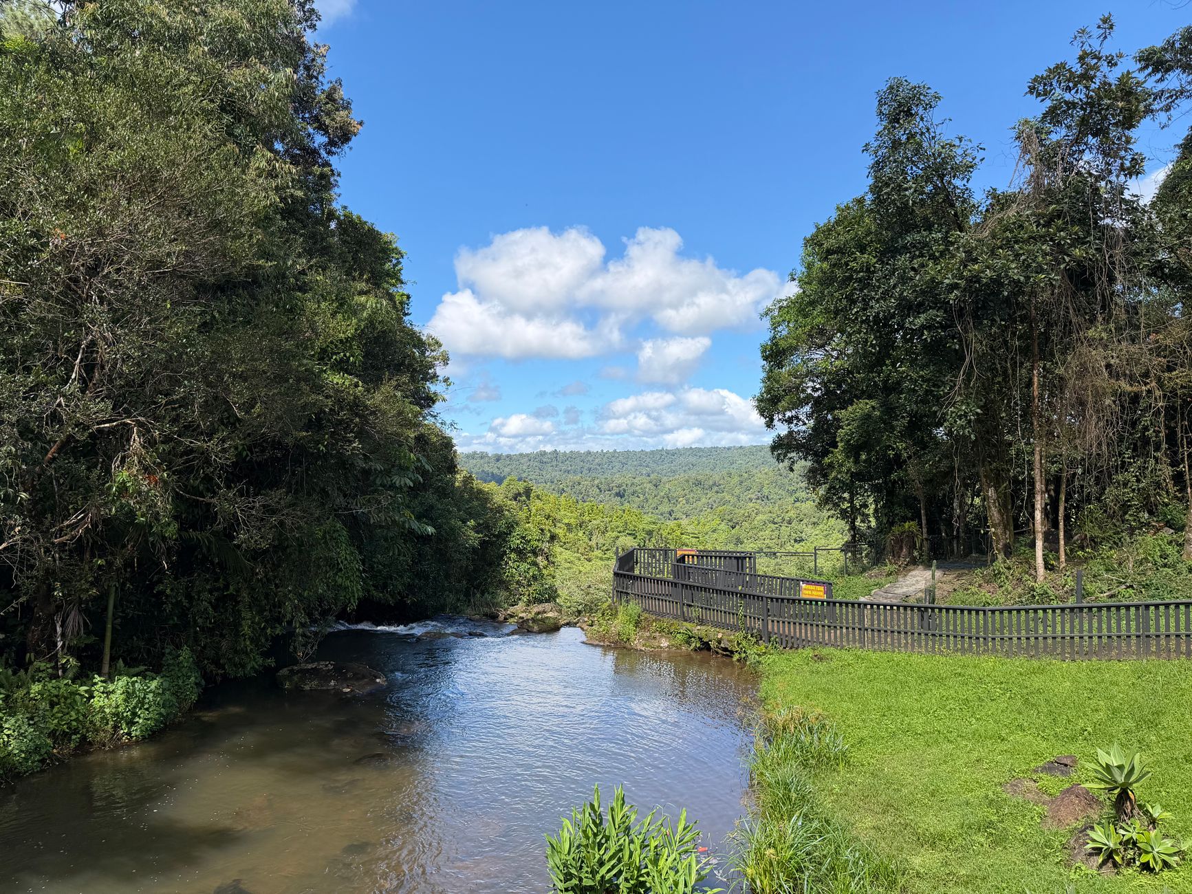 River surrounded by dense tropical rainforest near Kuranda, with a wooden boardwalk