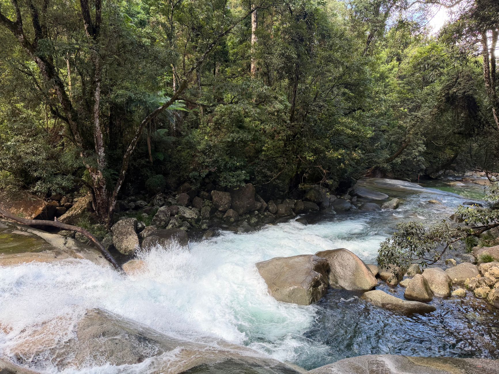 River running between rocks in the dense tropical rainforest of Daintree, Australia