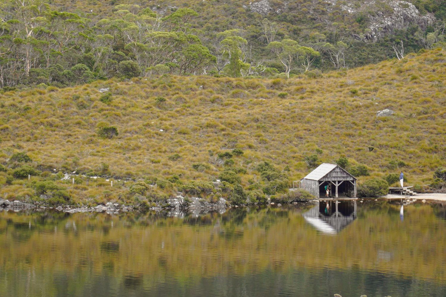 Wooden boat shed on the shore of Dove Lake, reflected in the still water, with hills in the background