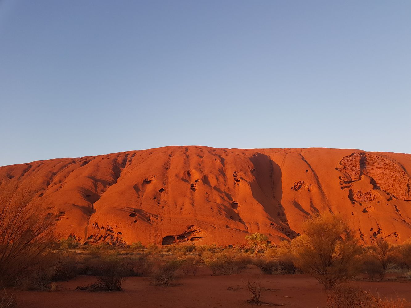 Textura de la roca del Uluru iluminada en tonos rojizos por el amanecer