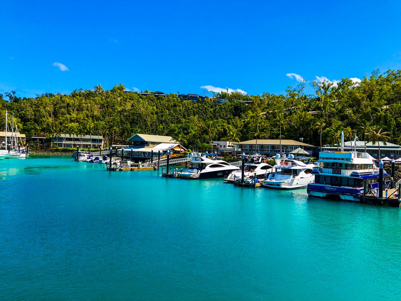 Marina in the Whitsundays region, with anchored boats, a leafy waterfront and turquoise water